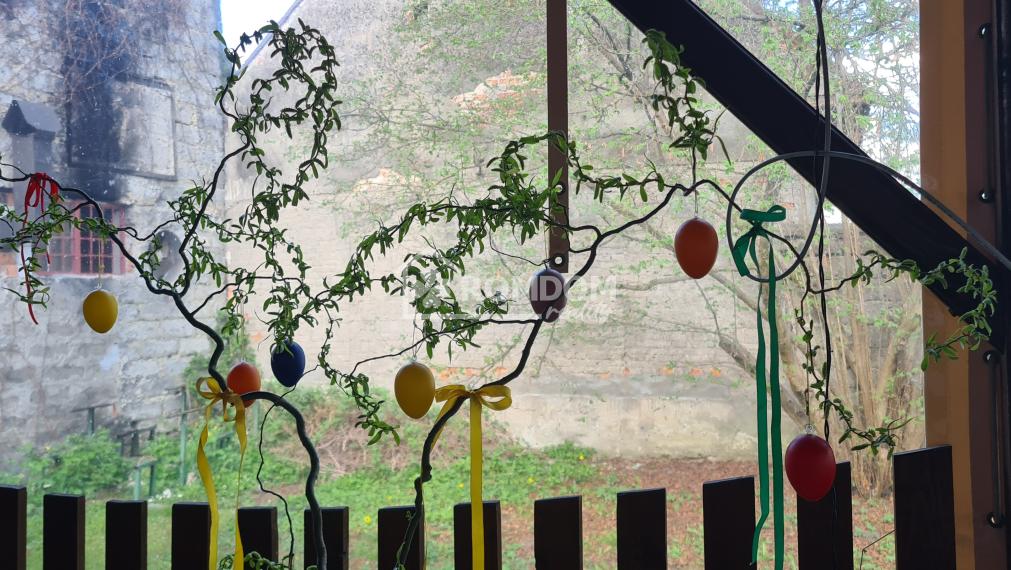 Prenájom, terasa s výčapom Bytča, exkluzívne ROMDOM