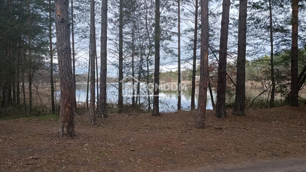 Predaj lesný pozemok 2028 m2 pri jazere, KÚ Láb (Malacky)