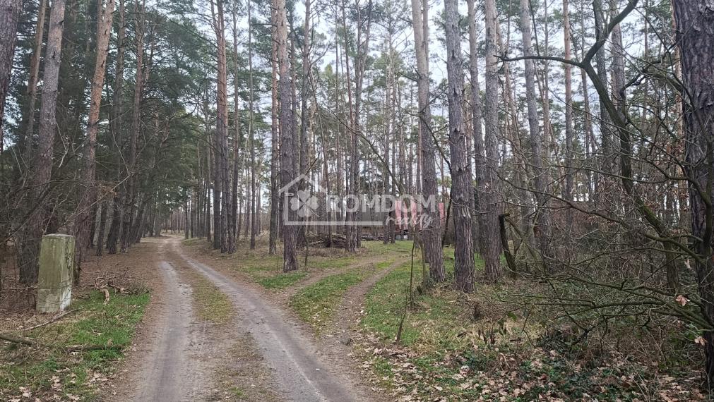 Predaj lesný pozemok 2028 m2 pri jazere, KÚ Láb (Malacky)