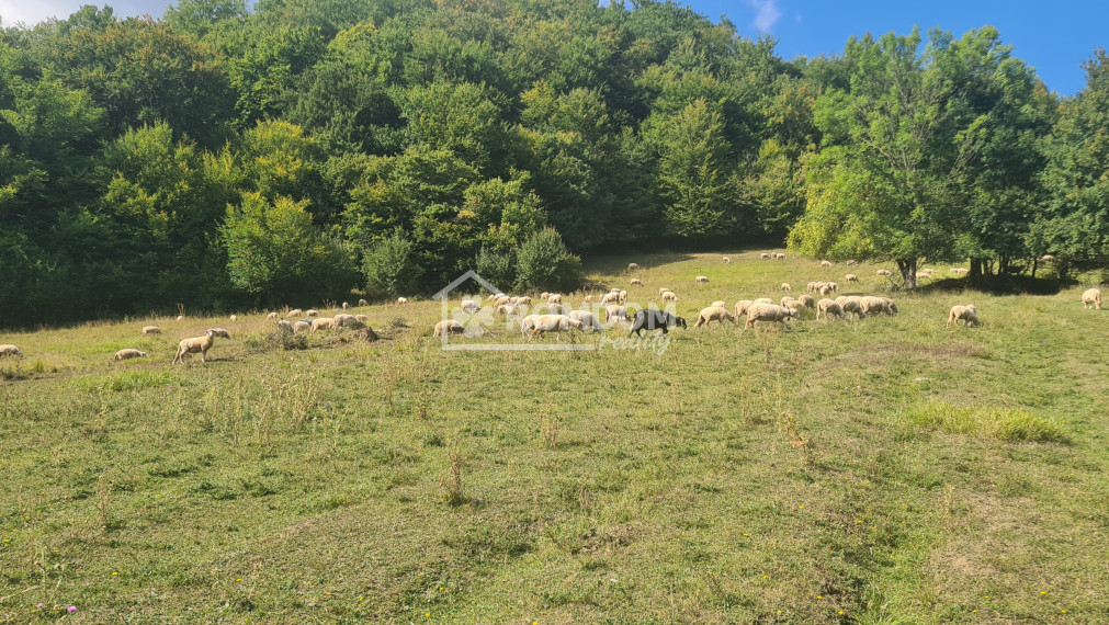 Predaj rekreačný pozemok Lopušné Pažite