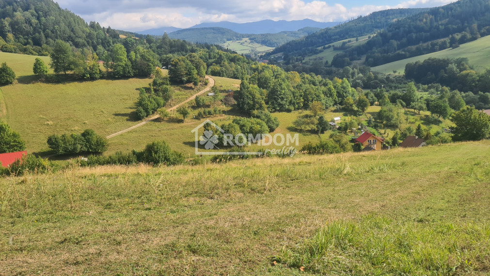 Predaj rekreačný pozemok Lopušné Pažite