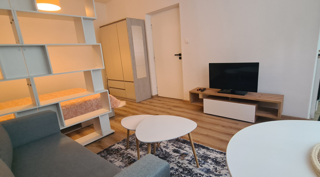 Prenájom 1-izbový byt Závodská cesta